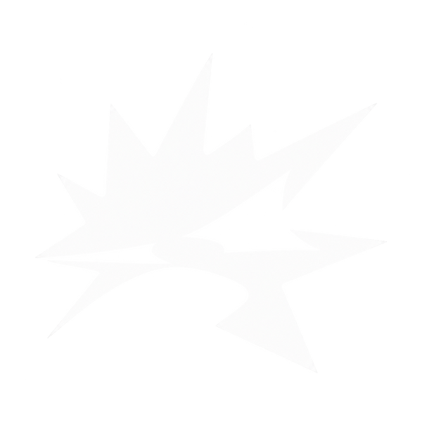 Phantom 3D Logo